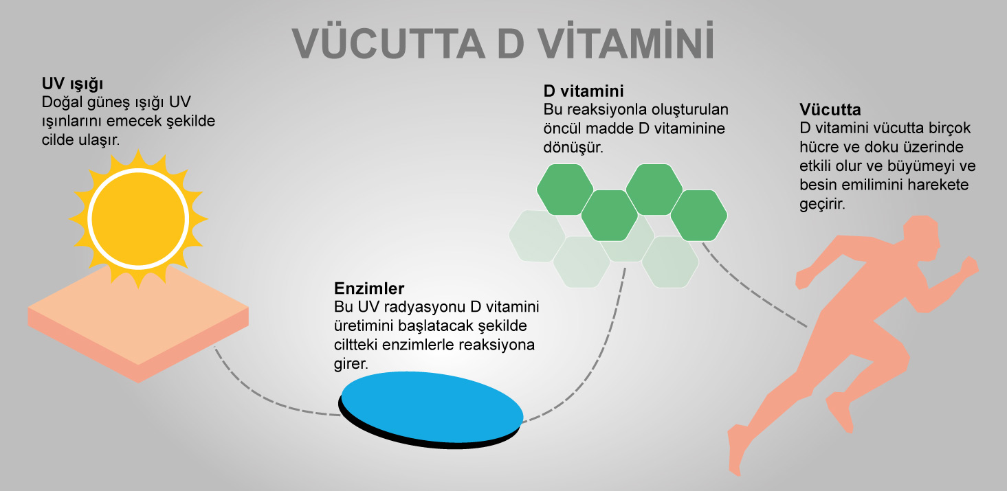 İnsan vücudunda D vitamini
